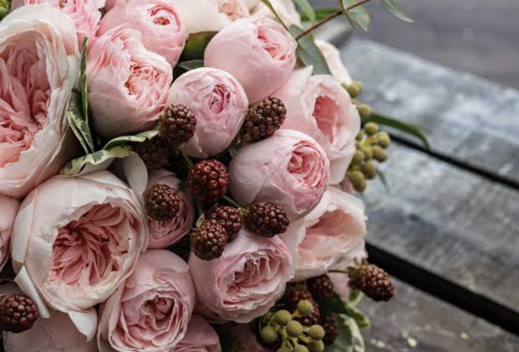 English Peony & Blush Suede